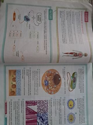 Biología y Geología. 3 Secundaria. Revuela