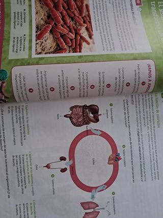 Biología y Geología. 3 Secundaria. Revuela