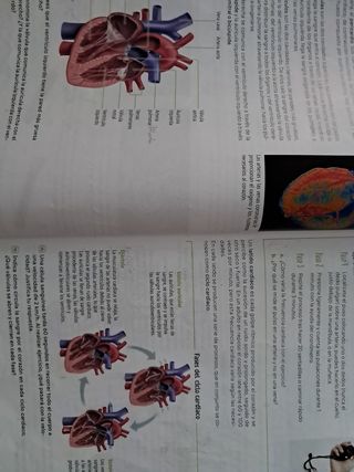 Biología y Geología. 3 Secundaria. Revuela