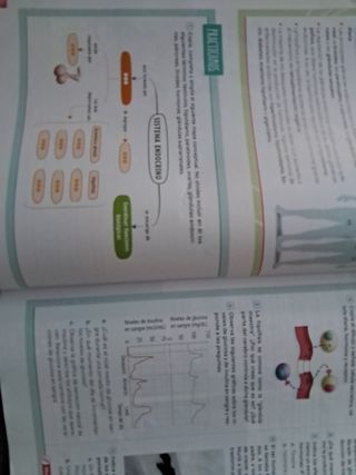 Biología y Geología. 3 Secundaria. Revuela