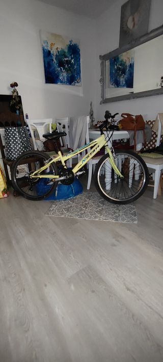 Bicicleta de mujer 