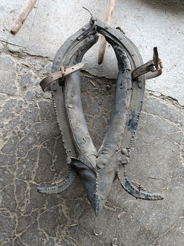 Yugo y collar antiguo para caballo