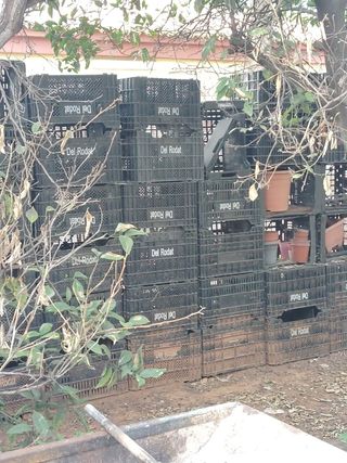210 Cajones Plástico Naranjas