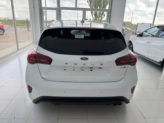 FORD FOCUS STLINE 125cv microhybrido