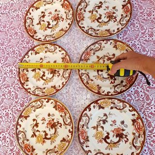 6 Piatti Mason's Brown Velvet