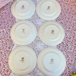 6 Piatti Mason's Brown Velvet