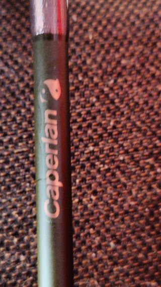 Caña Pesca Caperlan Carp XTREM-1 360