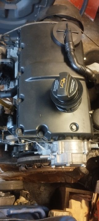 Motor 1.9 TDI 115cv (AUY)