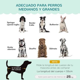 Sofá cama para mascotas - Verde menta