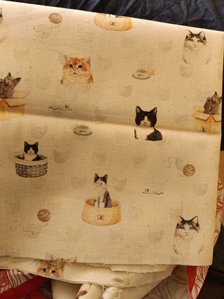 Custodia per occhiali + copertina per ebook 🍋