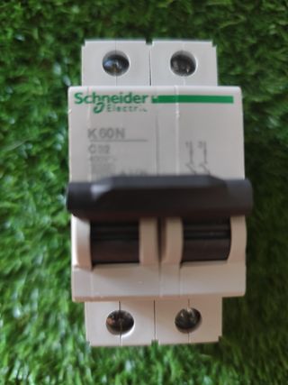 Interruptor Schneider Electric 2P 32A