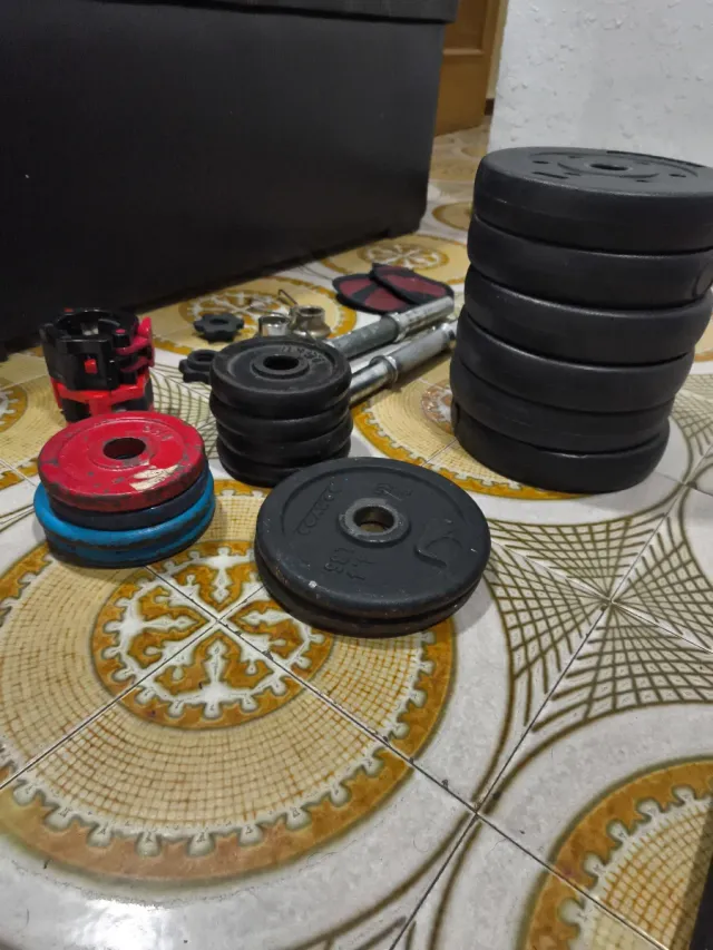 Discos y barra gimnasio