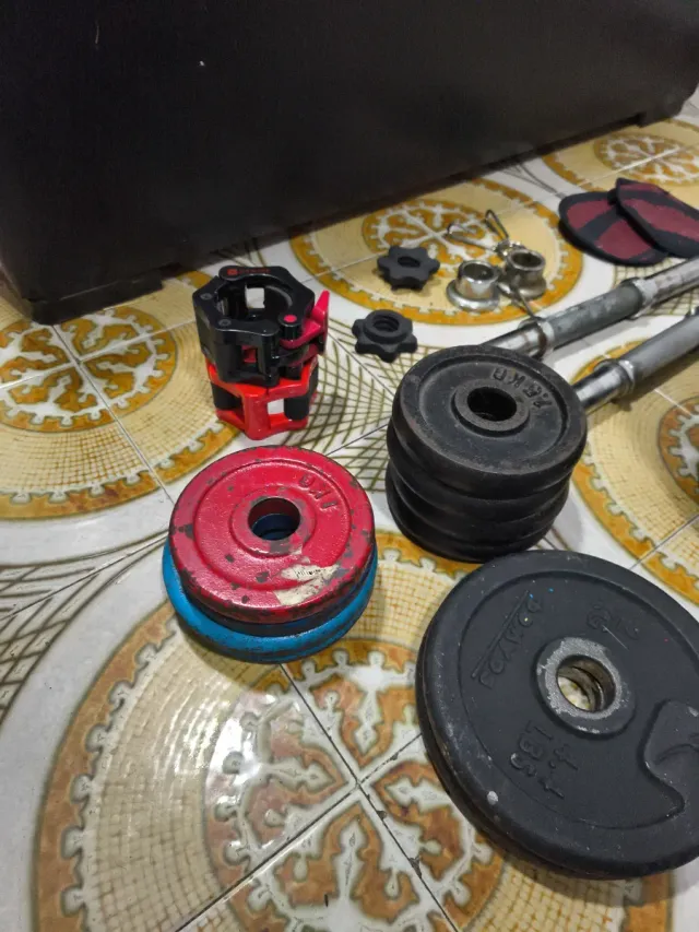 Discos y barra gimnasio