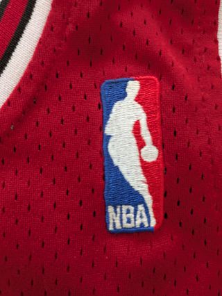 Camiseta Jordan Bulls #23 