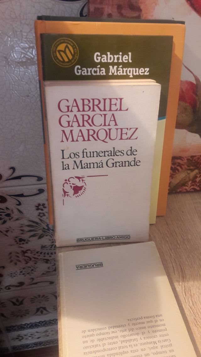 LOTE GARCIA MARQUEZ