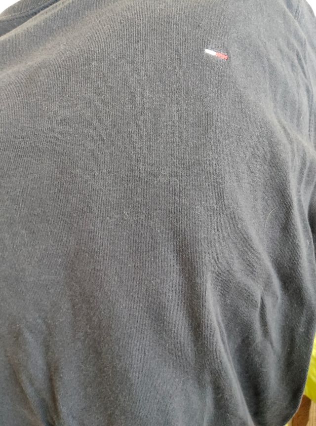 Camiseta Tommy Hilfiger gris - manga larga