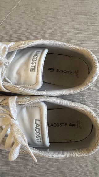 Sapatilhas Lacoste Criança 
