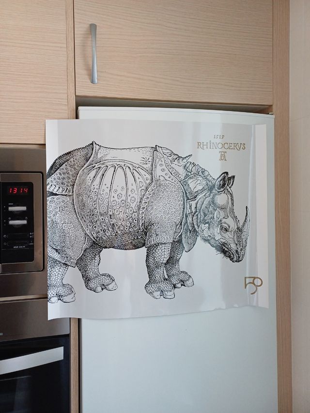 Cartaz de rinoceronte