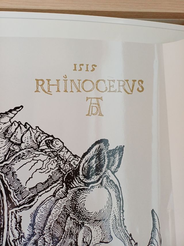 Cartaz de rinoceronte