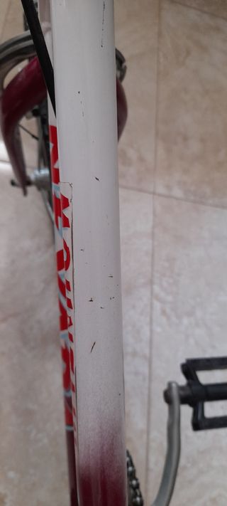 Bicicleta Niño 14" Nevada