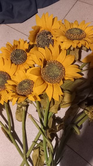 Girasoli finti giganti x 8