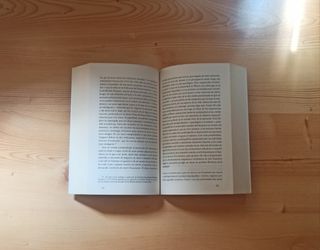 El pie de la letra: Ensayos completos (Literatura)