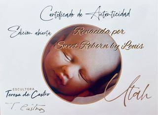 Reborn de silicona con pelo injertado