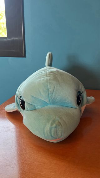 Blublu el bebé delfín
