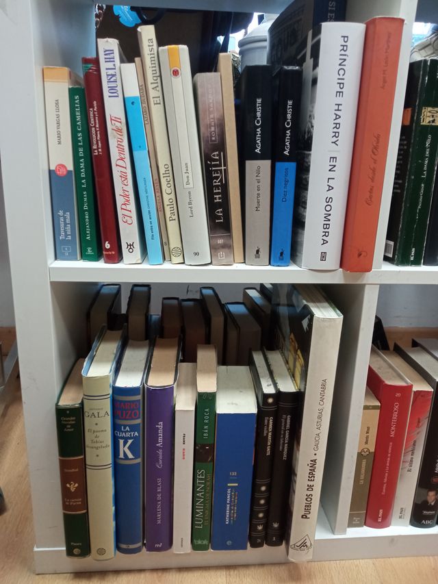 Libros económicos y solidarios Madrid