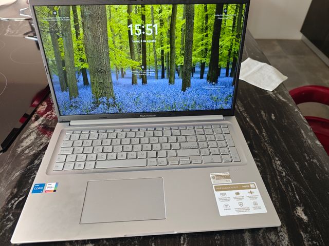 Portátil ASUS Vivobook 17 i5-1335U