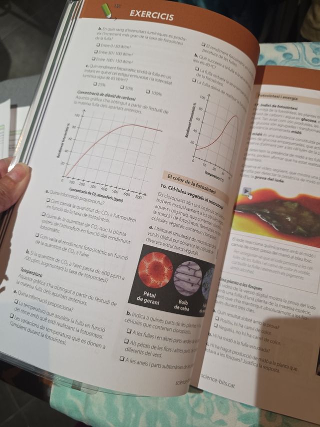 Biologia i Geologia 1 ESO