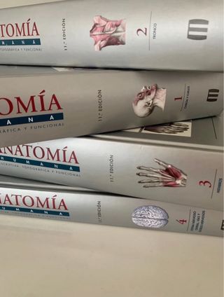 Rouviere anatomia humana. 