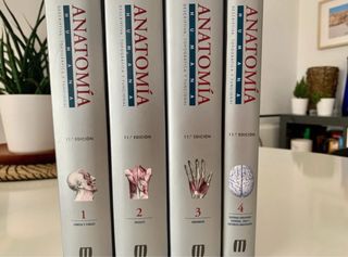 Rouviere anatomia humana. 