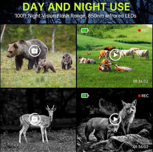 Telecamera da caccia per visione notturna WiFi solare 4K da 64 GB
