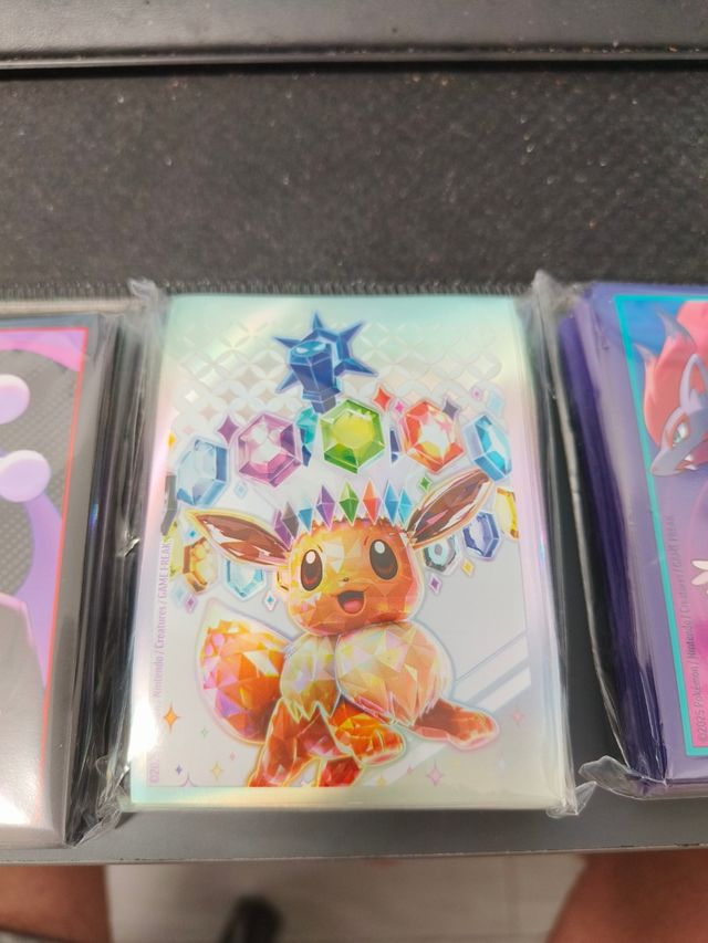 Fundas Pokémon TCG
Precio por unidad