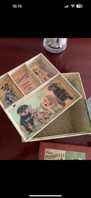Cajas organizadoras perros vintage