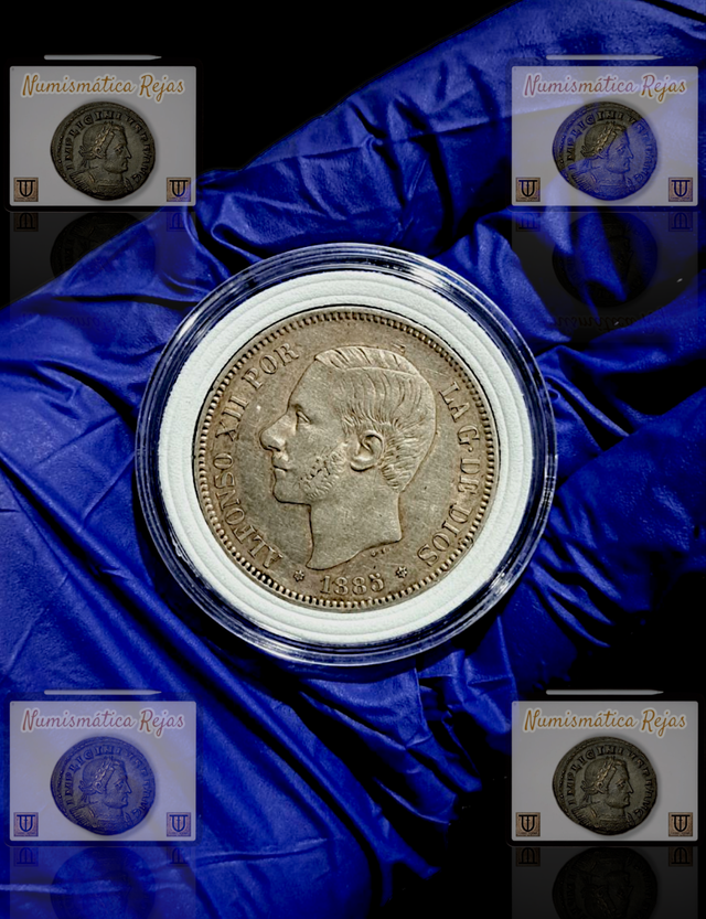 Lote 20 Cápsulas (Ø46mm) con goma EVA para Monedas