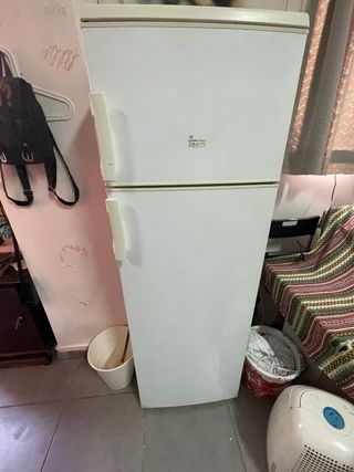 Nevera Teka FT3 310 - 2 puertas