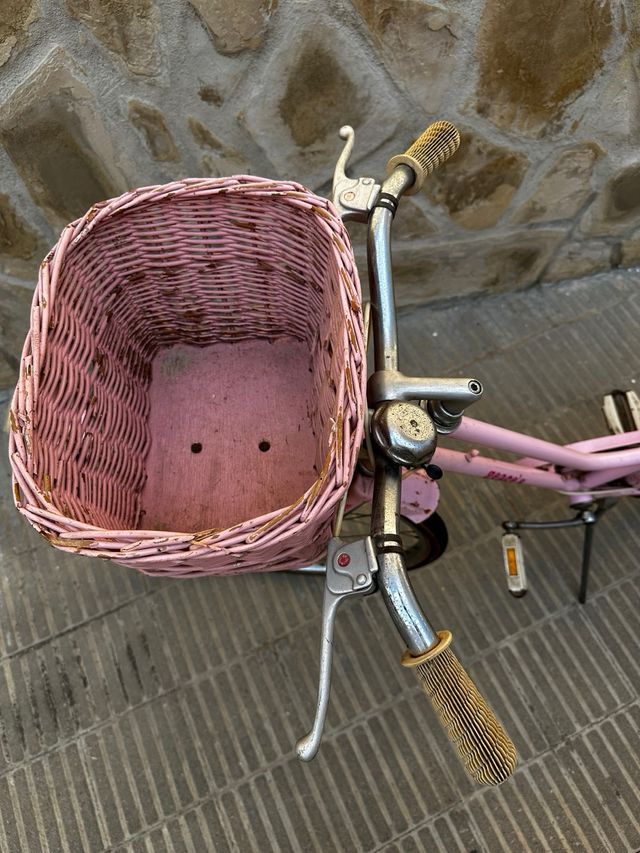 Bicicleta Geace's rosa vintage