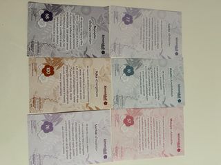 6 carte Kimmidoll: decorazioni giapponesi