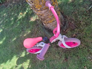 Bicicleta sin pedales Chicco Pink Camel