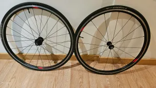 Bicicleta Carbono Giant TCR con ruedas aluminio