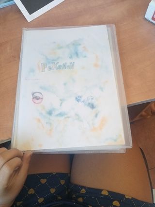 Álbum Pokémon - 182 cromos