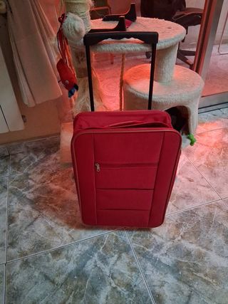 Maleta roja pequeña | viaje