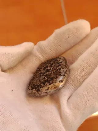 Antigua moneda china plata. Dinastía Ming.