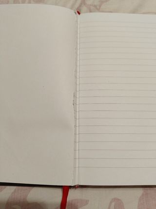 Cuaderno Stranger Things A5