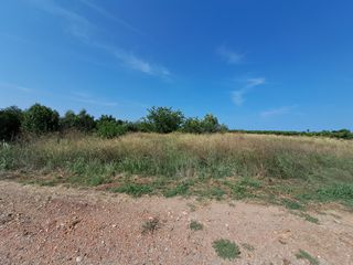 Terreno urbano Camí Cedre Burriana