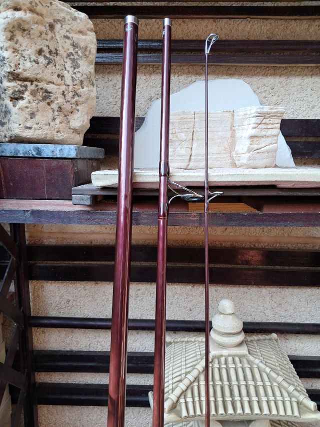 Caña de surfcasting shimano