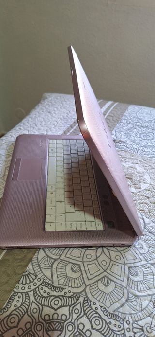 Portátil Sony Vaio VGN-NS31M rosa