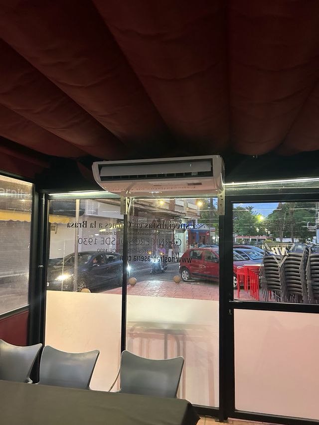 Carpa de alta calidad en perfecto estado